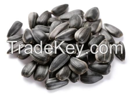 Raw Sunflower seeds