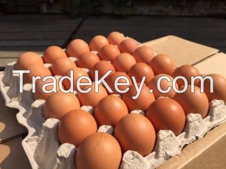 Chicken eggs