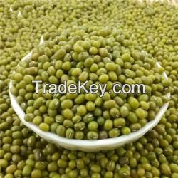 GREEN MUNG BEANS