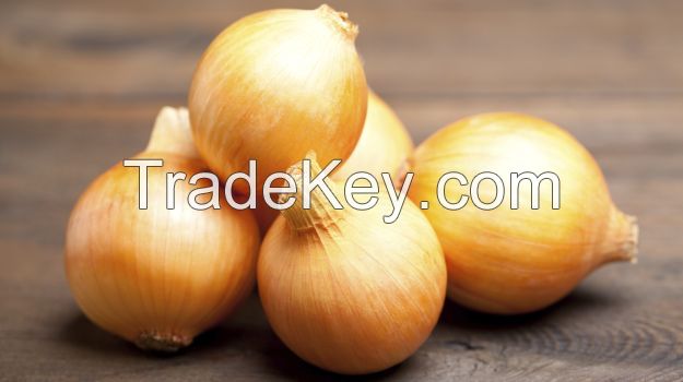 wholesale Fresh Onion/Yellow Onion/red onion