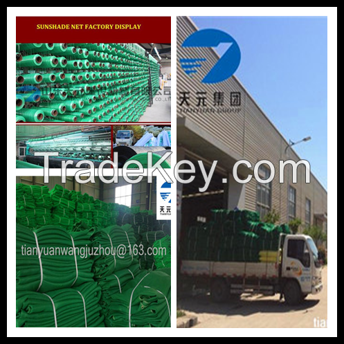 HDPE Construction Green Safety Net/Safety Net Fence