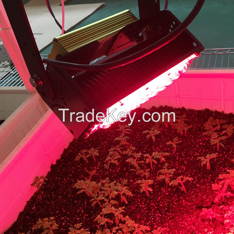 LED grow light