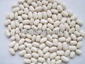 African white kidney beans / Soya beans / Red and sparkle kidney beans