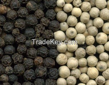 Vietnamese Black Pepper / White Pepper Wholesale