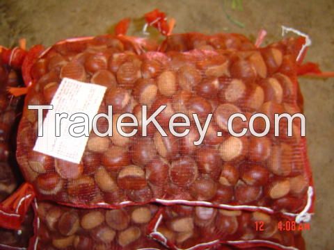 Chestnut Roasted And Peeled Organic Chest Nut / Fresh Raw Chestnuts For Sale