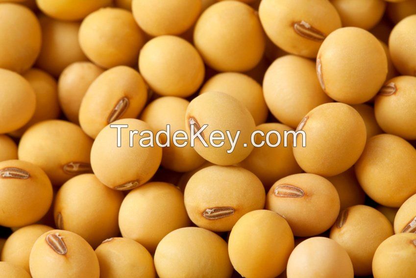 Certified Premium Quality Food Organic Soybean/ Soya Bean/ Soybeans Seeds