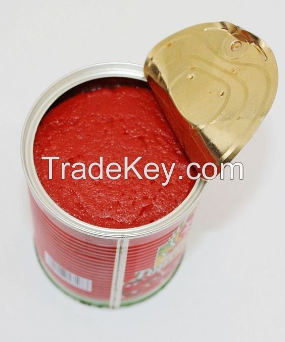 TOMATO PASTE, CANNED TOMATO PASTE, CANNED TOMATO PASTE 400G, QUALITY TOMATO PASTE, CANNED FISH IN TOMATO SAUCE, CANNED FISH IN OIL