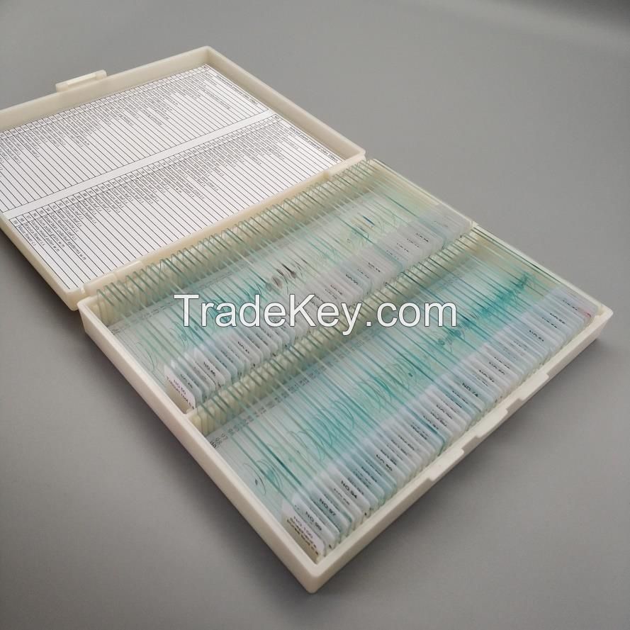 Prepared Microscope Slides for Education