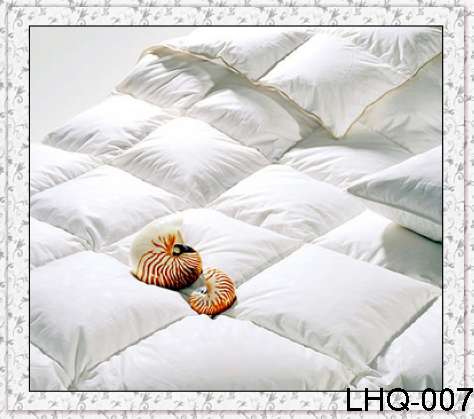 Quilt filled with duck down