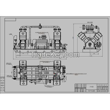 CNG booster compressor 