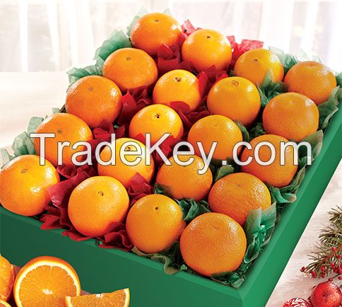 Navel Oranges