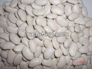 Organic White Kidney Beans Lopatka