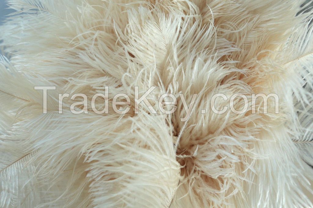 Natural Real Ostrich Feather