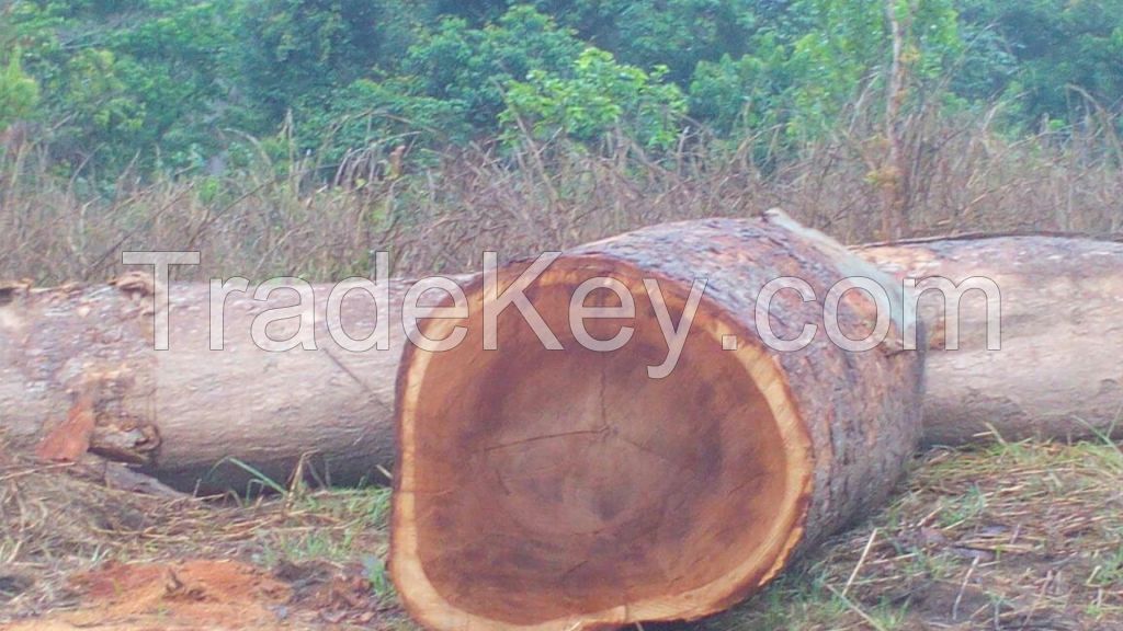 WOOD LOG AND  TIMBER 