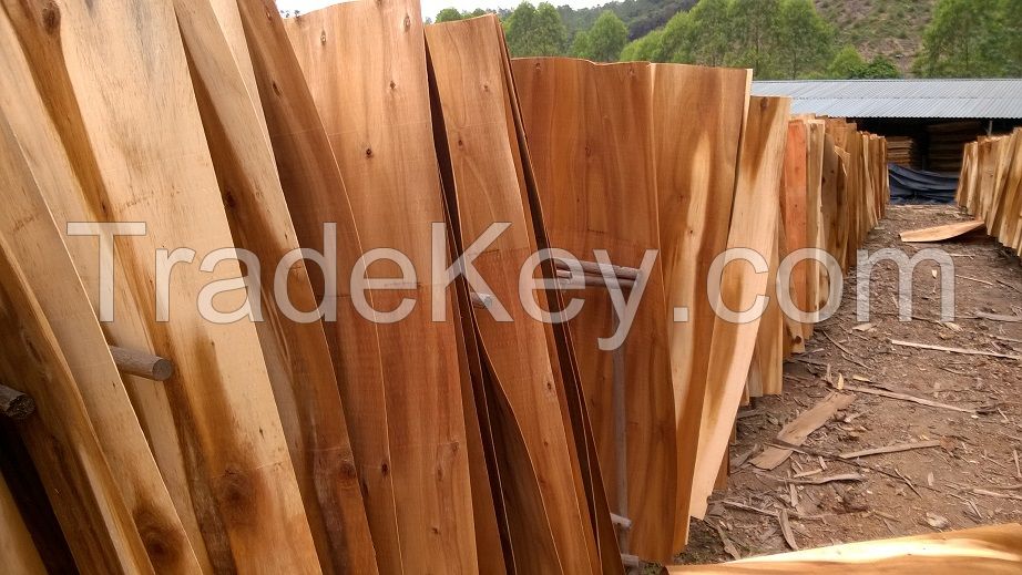 A Grade Acacia Core Veneer for Manufacturing Plywood