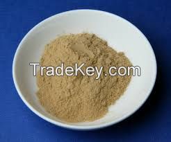 bentonite clay