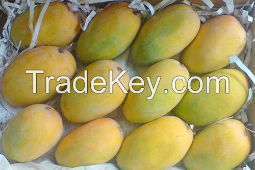 mangoes