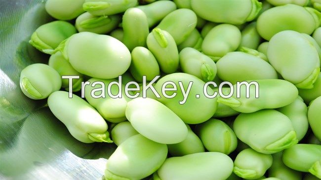 broad beans