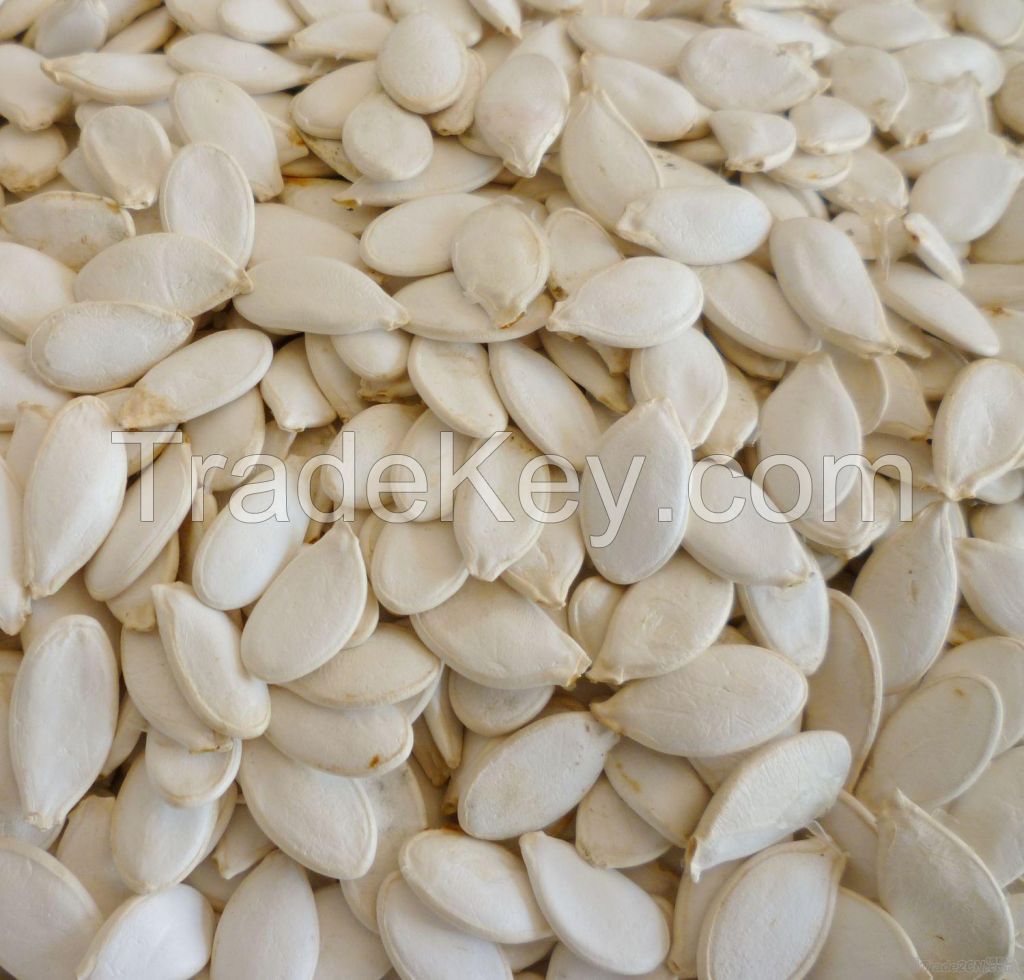 Chinese new harvest sweet melon seeds