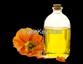 cheap CAMELIA OIL