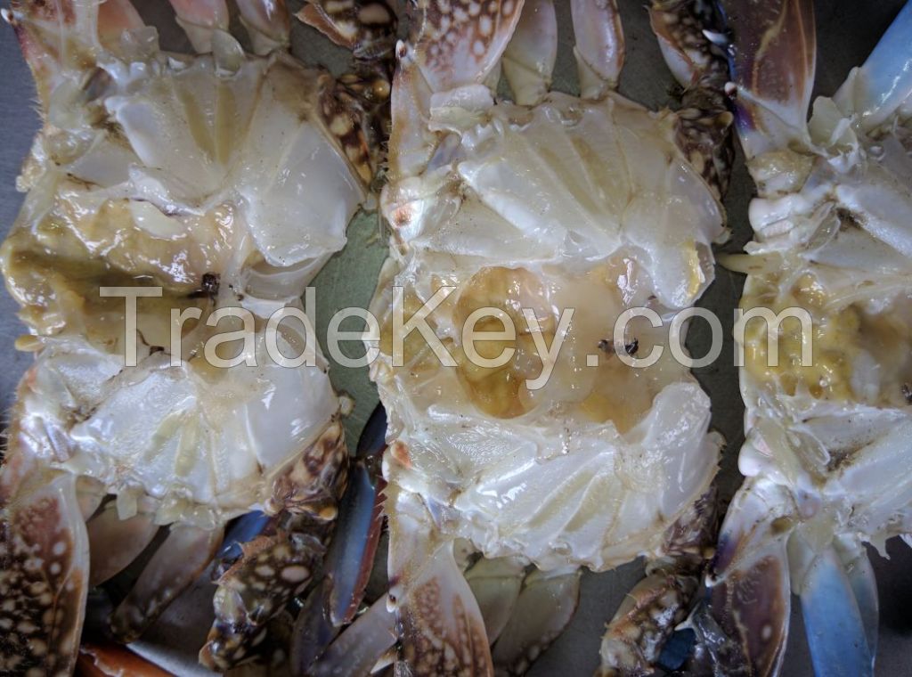 Frozen Blue Swimming Crabs Whole Round Male / Female separately packed, 30% with Eggs