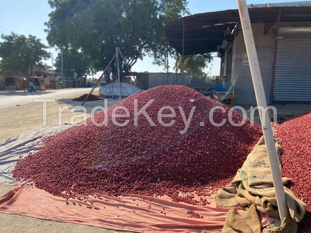 Dried Red Chilies 