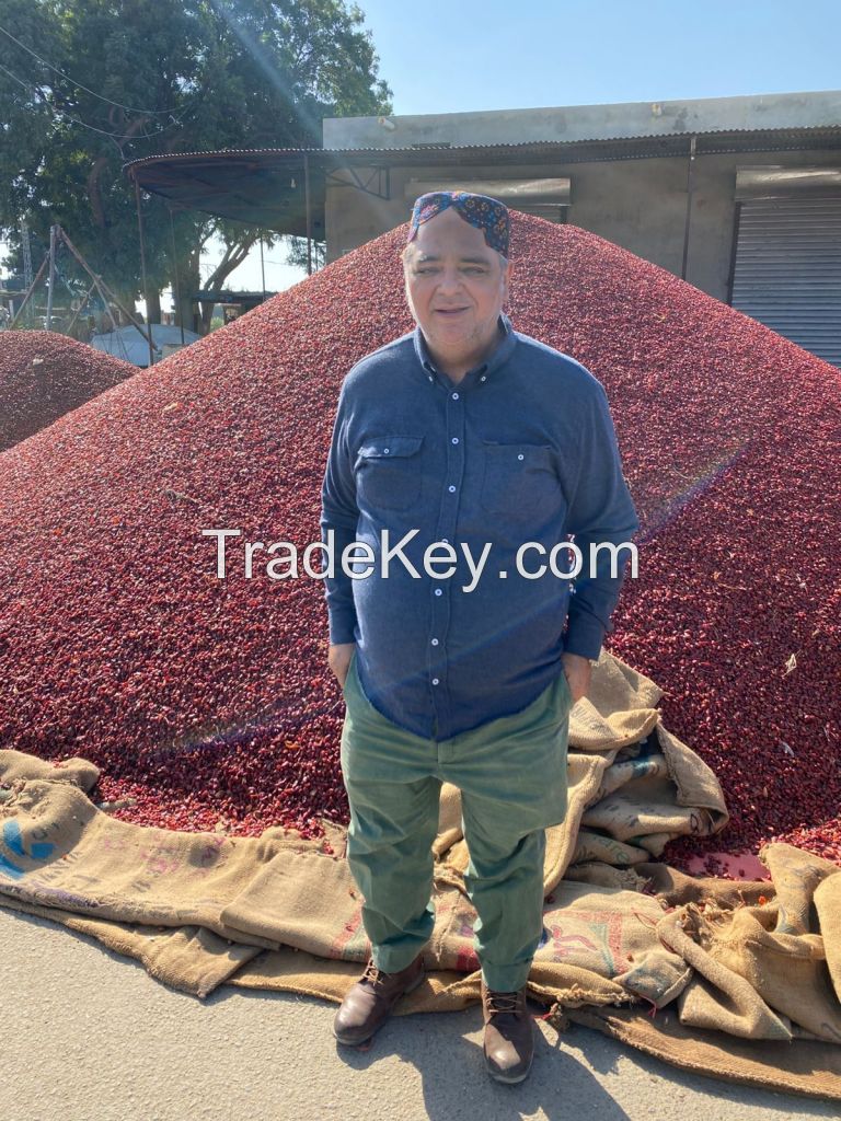 Dried Red Chilies 