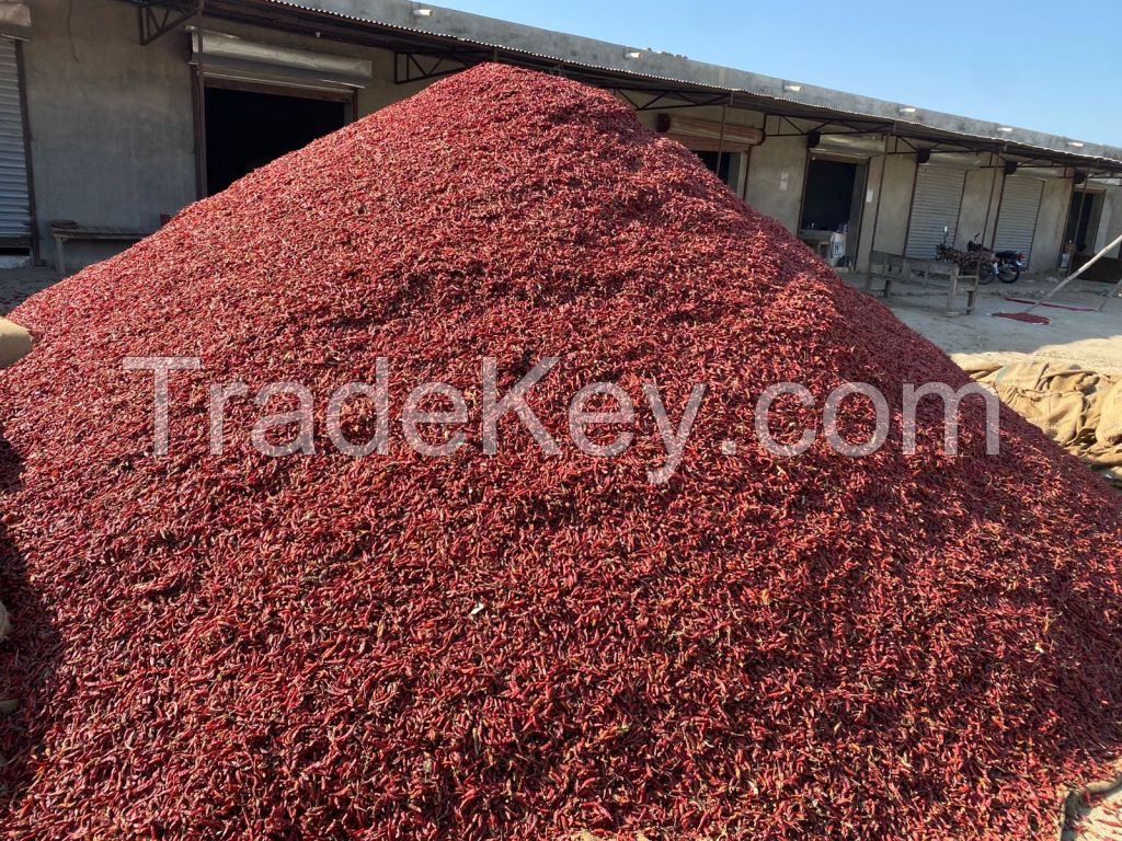 Dried Red Chilies 