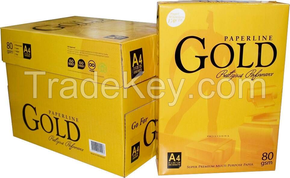 Paperline Gold A4 paper 80GSM ($ 0.50)