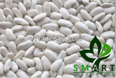 White Kidney Beans