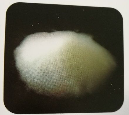 Silica aerogel powders