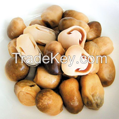 Straw Mushrooms with High Quality from Vietnam