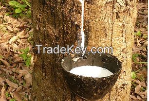 NATURAL RUBBER LATEX HA 60% DRC