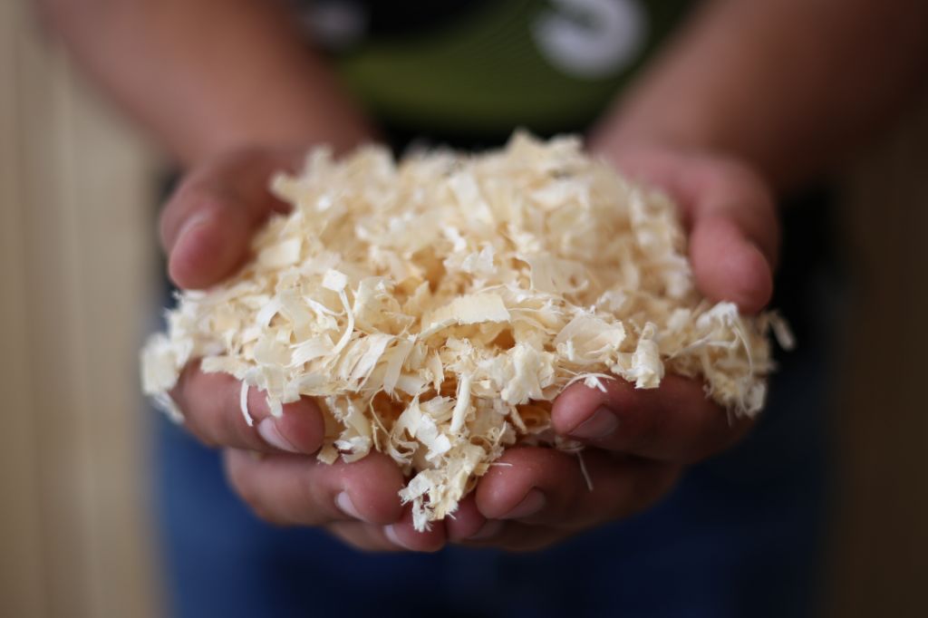 Wood shavings