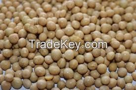 Soya Beans