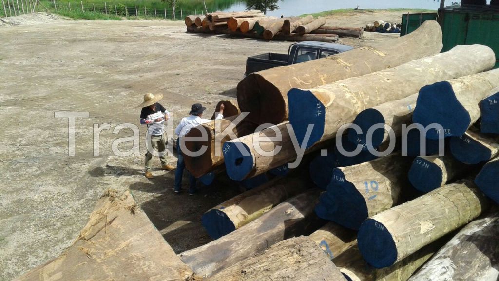 Cumaru - hardwood logs
