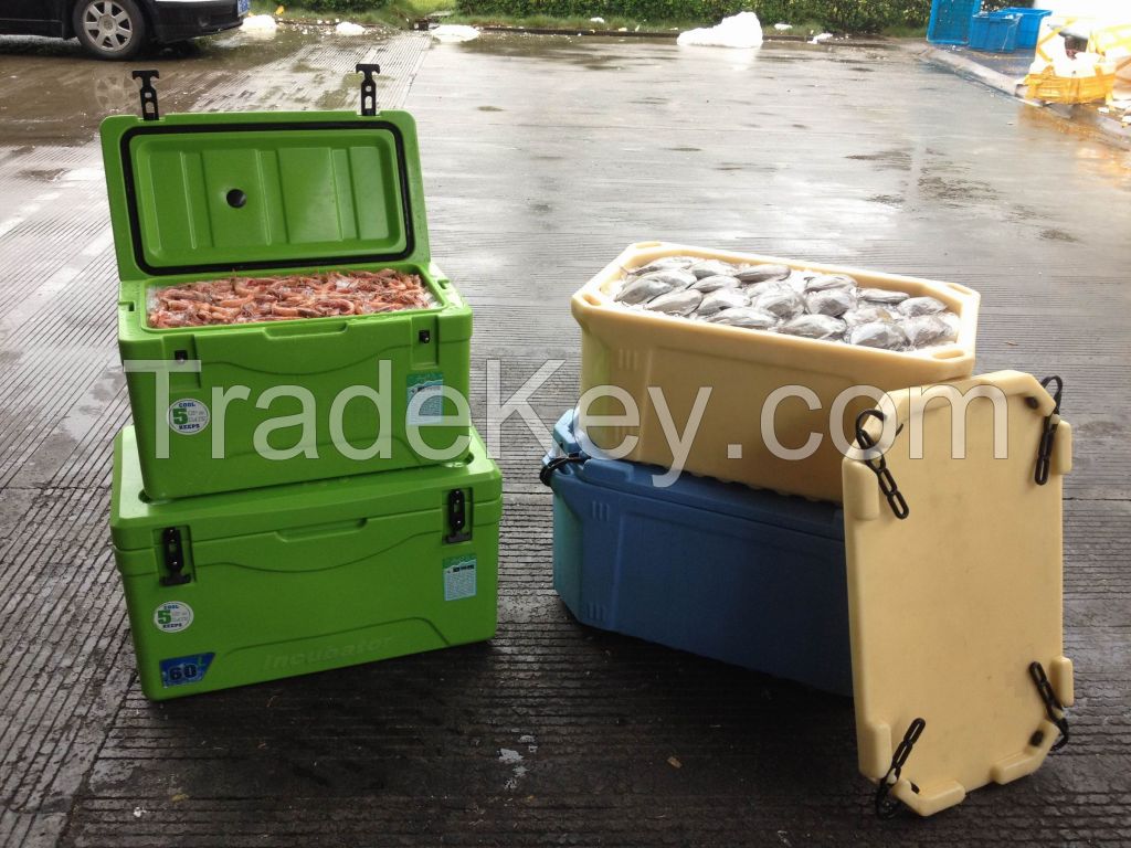 travel, barbecue, fishing and other outdoor activities using insulated container