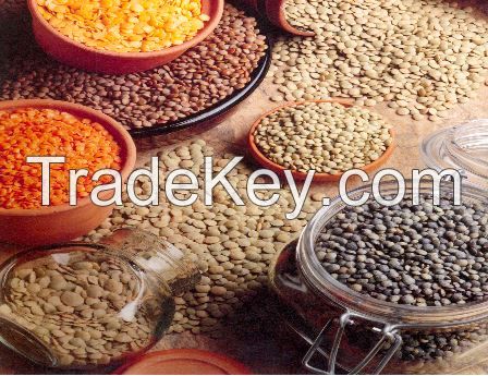 Chickpeas
