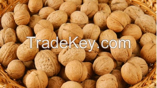 Walnut