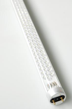 T8 Fluorescent Light