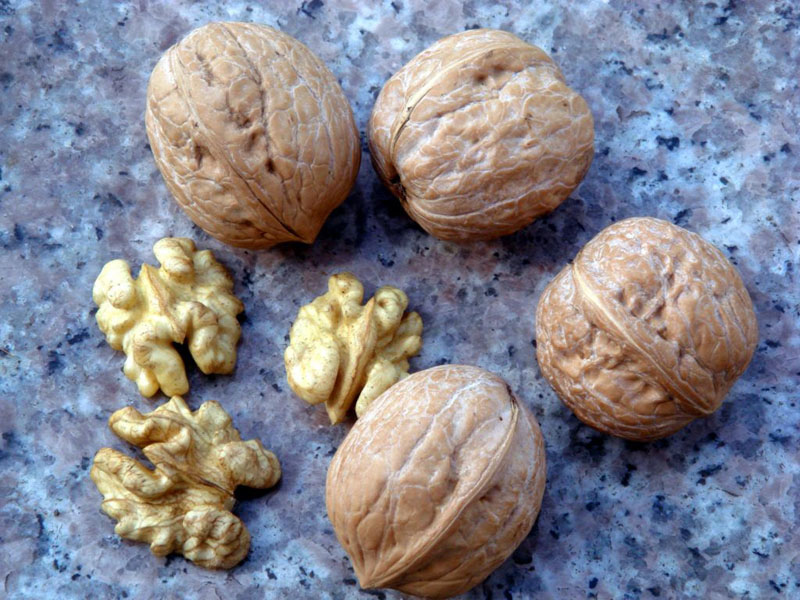 We can supply all kind of walnuts