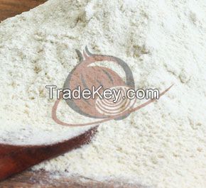Dehydrated White Onion Powder