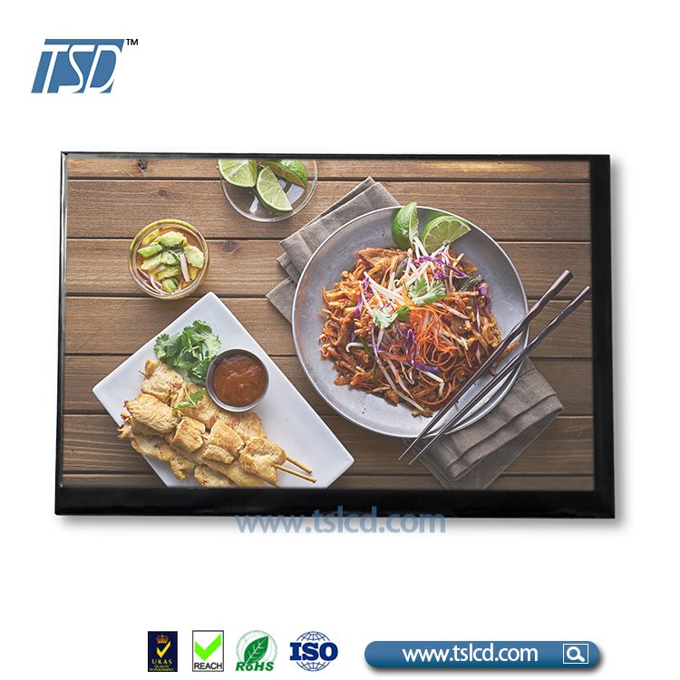 TSD TSLCD 10.1 inch tft lcd module