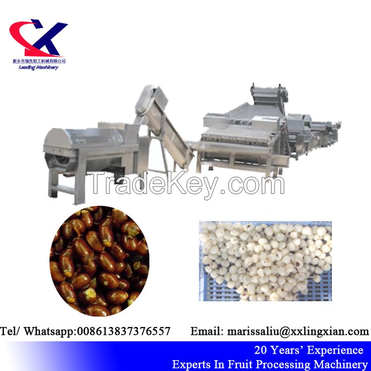 High Quality Lychee Peeling crushing Machine 2-3t/h Lycee Juice processing Equipment