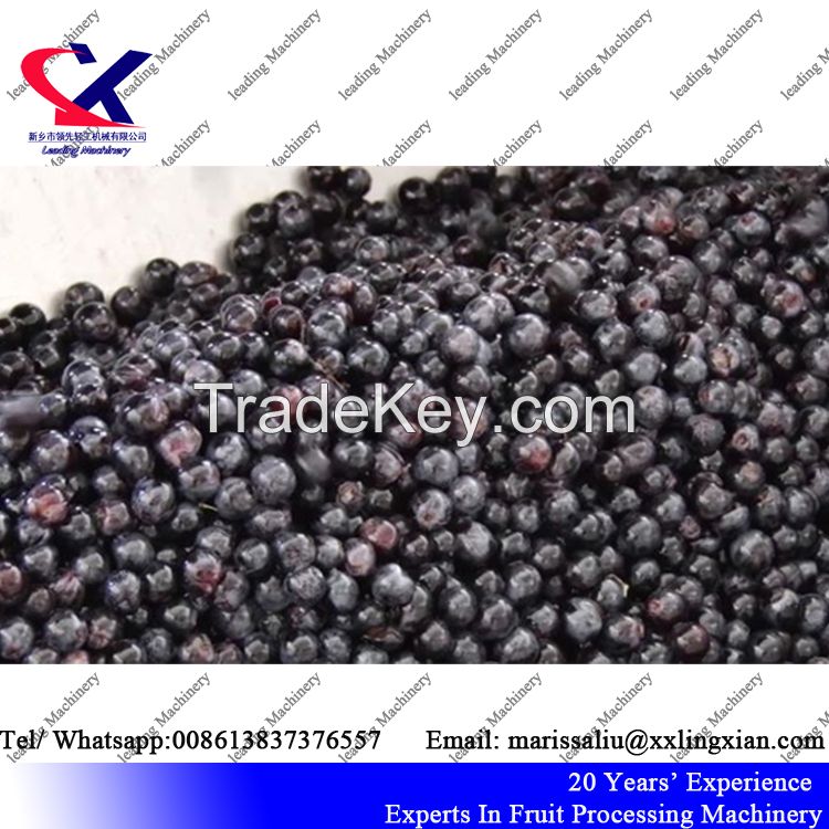  Advanced technology Grape Destemmer Machine/Destalking machine for grape wine making