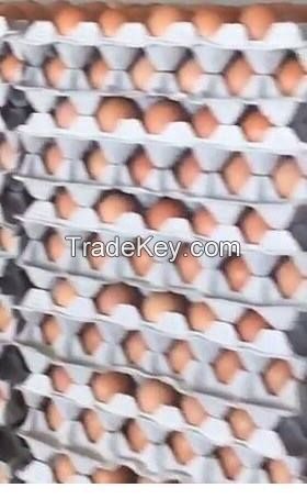 Brown/white Fresh Table Chicken Eggs