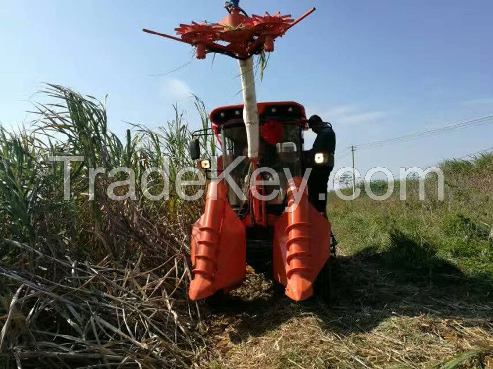 Whole stalk type combine sugarcane harvesting machine/min sugar cane harvester