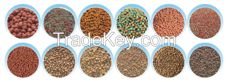 High Capacity Fish Feed Processing Equipment