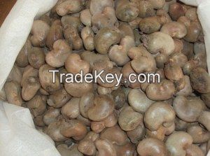 cashew nut