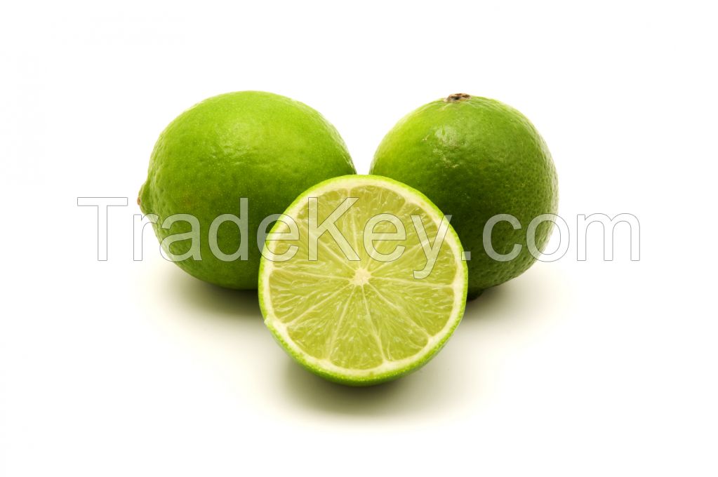 PERSIAN LIMES